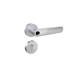 TTLock vG-BL5 Silver