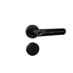 Smart lock vG-BL5 Black